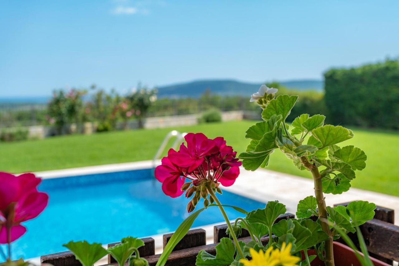 Villa Poemia Rogachevo Extérieur photo